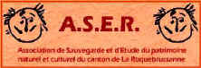aser logo.jpg (18395 octets)
